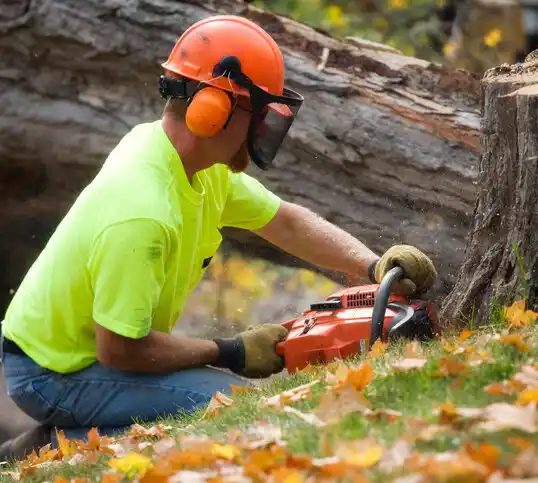 tree services Fertile